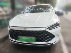 2023 BYD Qin PLUS Champion DM-i PHEV 55KM Leading, белый — фото 2