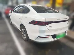 2023 BYD Qin PLUS Champion DM-i PHEV 55KM Leading, белый — фото 4