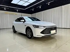 2023 BYD Qin PLUS Champion DM-i PHEV 55km Exceed, белый — фото 3