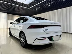2023 BYD Qin PLUS Champion DM-i PHEV 55km Exceed, белый — фото 6
