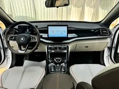 2023 BYD Qin PLUS Champion DM-i PHEV 55km Exceed, белый — фото 13