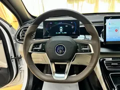 2023 BYD Qin PLUS Champion DM-i PHEV 55km Exceed, белый — фото 14