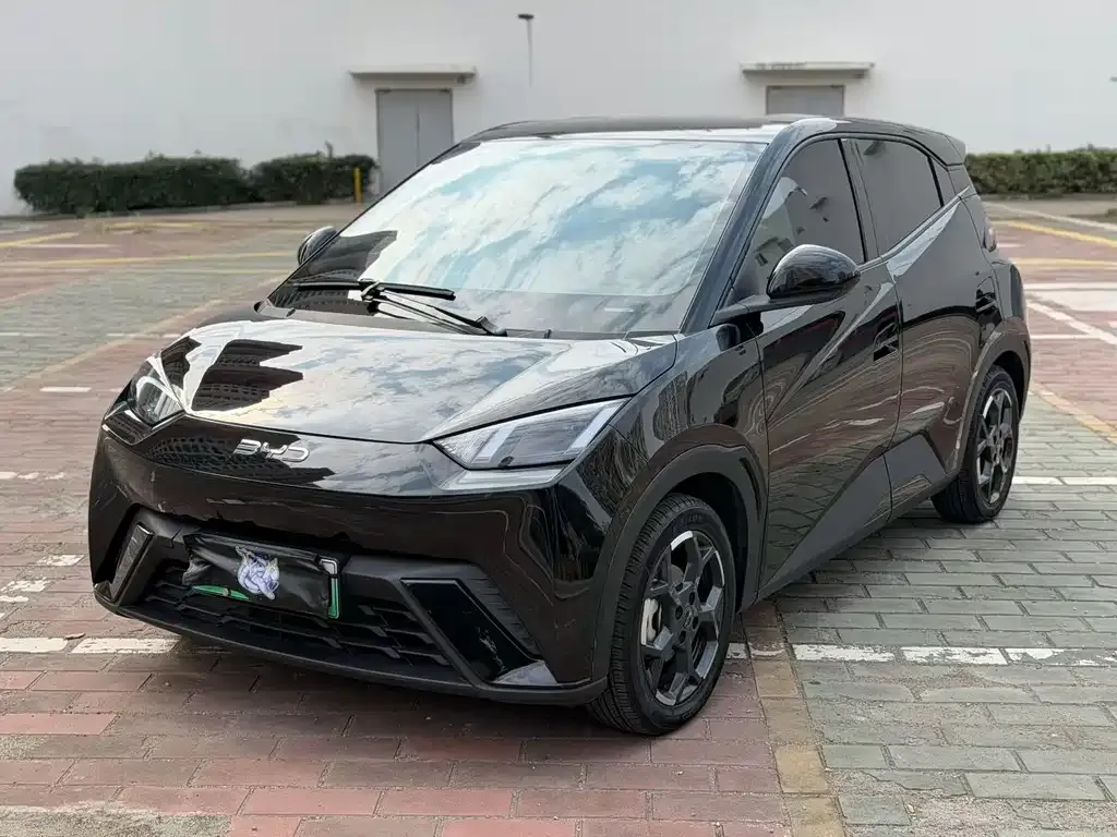 2024 BYD Seagull EV 305km Honor Freedom