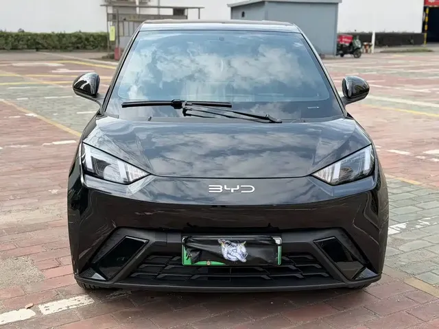 2024 BYD Seagull EV 305km Honor Freedom