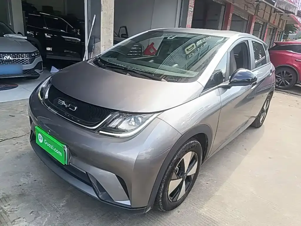 2023 BYD Dolphin 420km Freedom