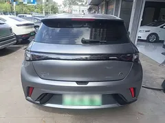 2023 BYD Dolphin 420km Freedom — фото 6