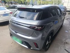 2023 BYD Dolphin 420km Freedom — фото 7