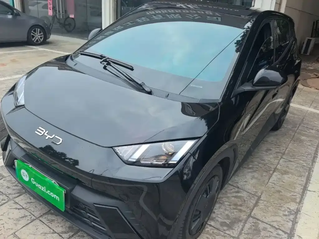 2024 BYD Seagull Honor 305km Vitality