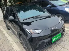2024 BYD Seagull Honor 305km Vitality, чёрный — фото 4