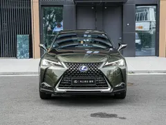 2020 Lexus UX 260h Hybrid, зелёный — фото 2