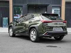 2020 Lexus UX 260h Hybrid, зелёный — фото 6