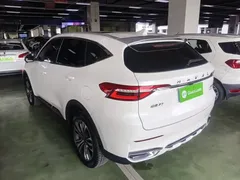 2021 Haval F7 2.0T 2WD Fan, белый — фото 5