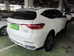 2021 Haval F7 2.0T 2WD Fan, белый — фото 7