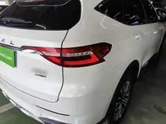 2021 Haval F7 2.0T 2WD Fan, белый — фото 8