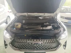 2021 Haval F7 2.0T 2WD Fan, белый — фото 20