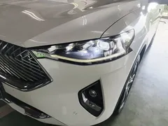 2021 Haval F7 2.0T 2WD Fan, белый — фото 24
