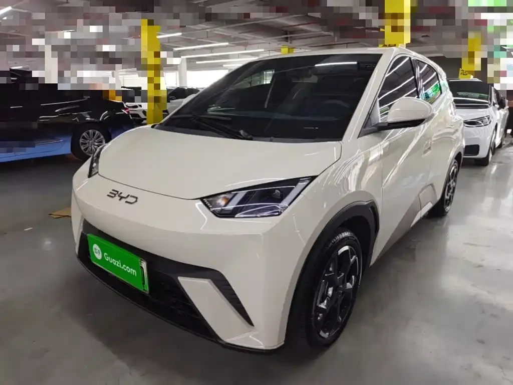 2025 BYD Seagull Smart Driving 305km Freedom