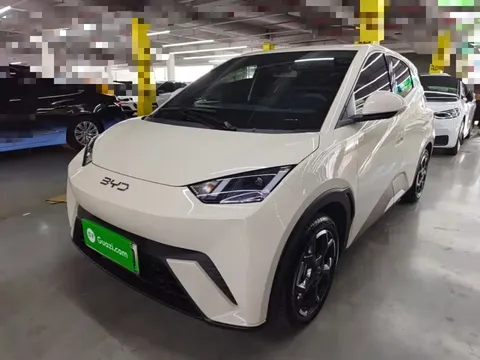 2025 BYD Seagull Smart Driving 305km Freedom
