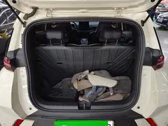 2025 BYD Seagull Smart Driving 305km Freedom, белый — фото 19