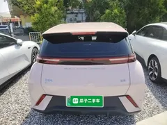 2023 BYD Seagull Vitality, чёрный — фото 6