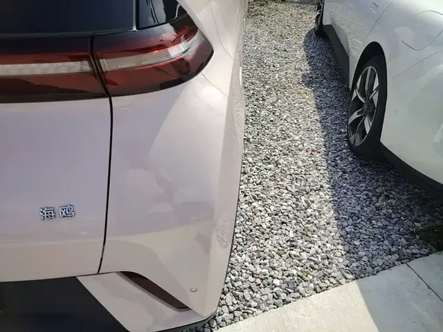 2023 BYD Seagull Vitality