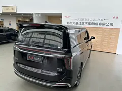 2024 Hongqi HQ9 2.0T PHEV 4WD Business — фото 7