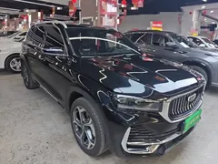 2021 Geely Monjaro 2.0TD DCT EVO 2WD Premium, чёрный — фото 4