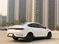 2025 BYD Qin PLUS EV 510km Smart Driving Leading, белый — фото 4
