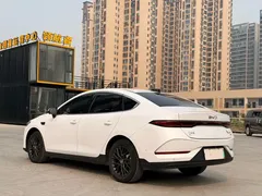 2025 BYD Qin PLUS EV 510km Smart Driving Leading, белый — фото 6