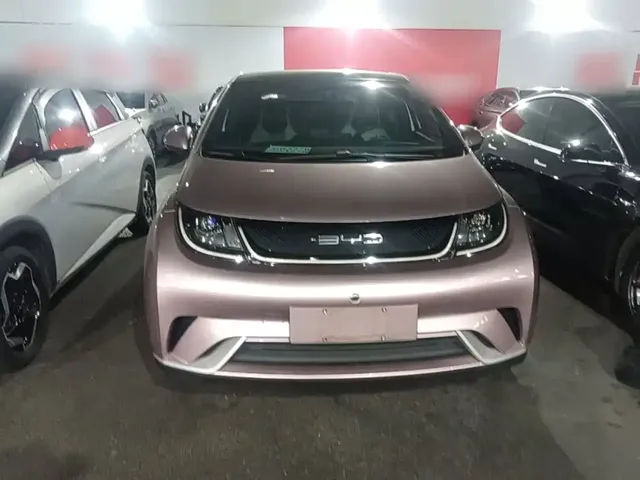 2021 BYD Dolphin 405km Fashion