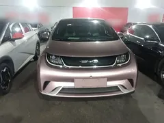 2021 BYD Dolphin 405km Fashion, чёрный — фото 3