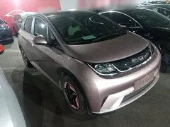 2021 BYD Dolphin 405km Fashion, чёрный — фото 4