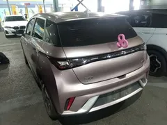 2021 BYD Dolphin 405km Fashion, чёрный — фото 5