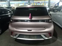 2021 BYD Dolphin 405km Fashion, чёрный — фото 6
