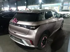 2021 BYD Dolphin 405km Fashion, чёрный — фото 7