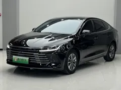 2024 BYD Destroyer 05 DM-i PHEV 120KM Luxury, чёрный — фото 3
