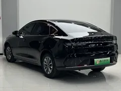 2024 BYD Destroyer 05 DM-i PHEV 120KM Luxury, чёрный — фото 16