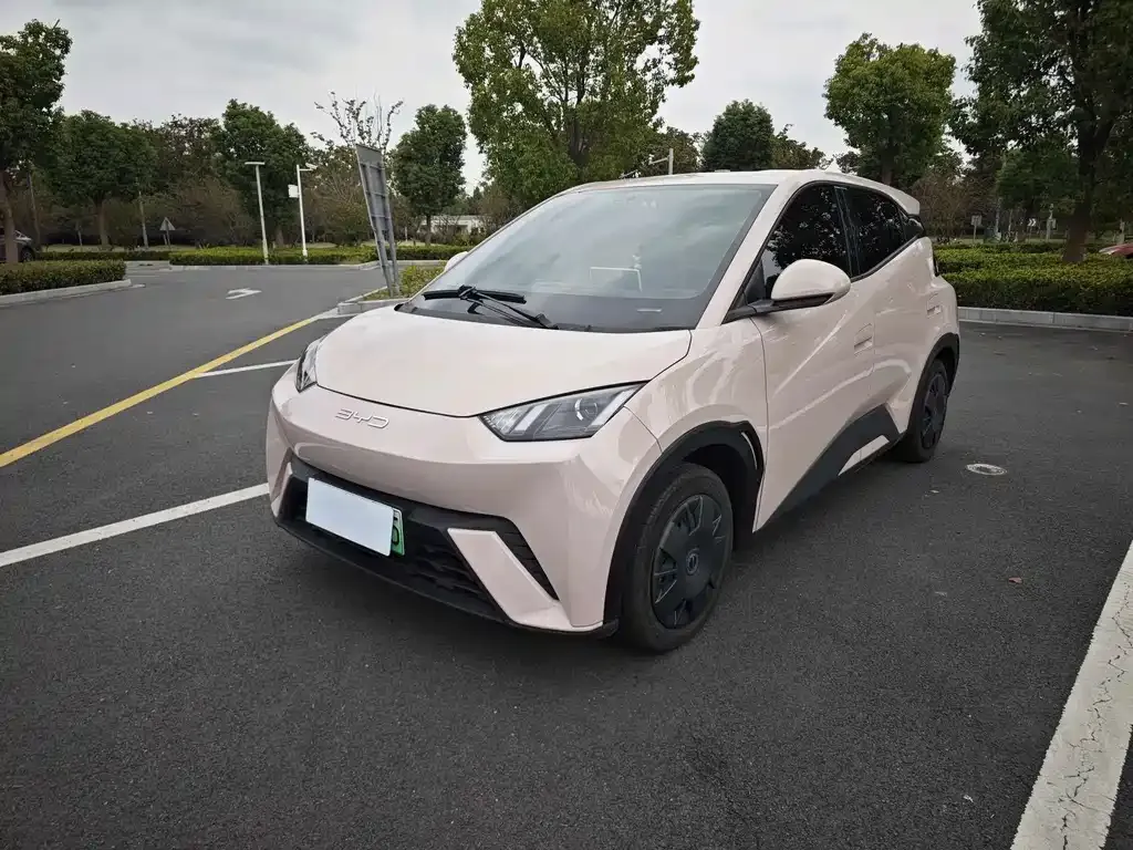 2023 BYD Seagull Vitality