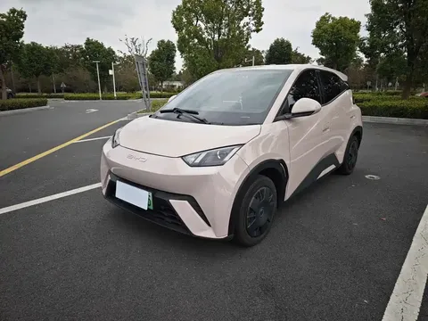2023 BYD Seagull Vitality