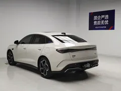 2025 BYD Seal 06 DM-i PHEV Smart Driving 120KM Flagship, белый — фото 6
