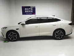 2025 BYD Seal 06 DM-i PHEV Smart Driving 120KM Flagship, белый — фото 9