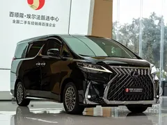 2020 Lexus LM 300h 4, чёрный — фото 3