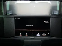 2020 Lexus LM 300h 4, чёрный — фото 10