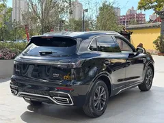 2023 Hongqi HS5 2.0T Qiyue Pro, чёрный — фото 12