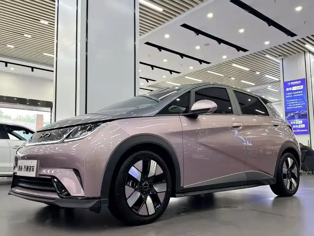 2023 BYD Dolphin 401km Knight