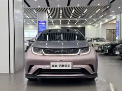 2023 BYD Dolphin 401km Knight — фото 2