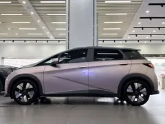 2023 BYD Dolphin 401km Knight — фото 3