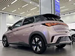 2023 BYD Dolphin 401km Knight — фото 4