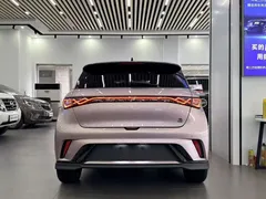 2023 BYD Dolphin 401km Knight — фото 5