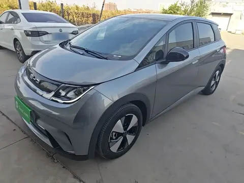 2023 BYD Dolphin 420km Fashion